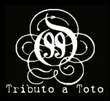 Banda tributo a TOTO necesitamos percusionista 22 agosto 2026