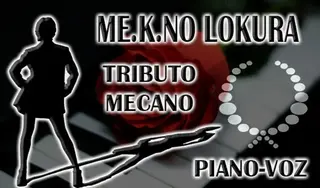 Tributo a Mecano necesita guitarra 13 agosto 2026