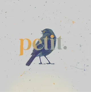 Petit. Buscamos batería 27 agosto 2026