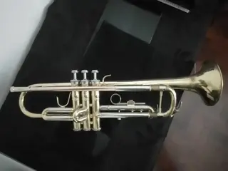 Vendo trompeta Prelude  TR-711 (china) 19 octubre 2026