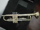 Vendo trompeta Prelude  TR-711 (china) 19 octubre 2026